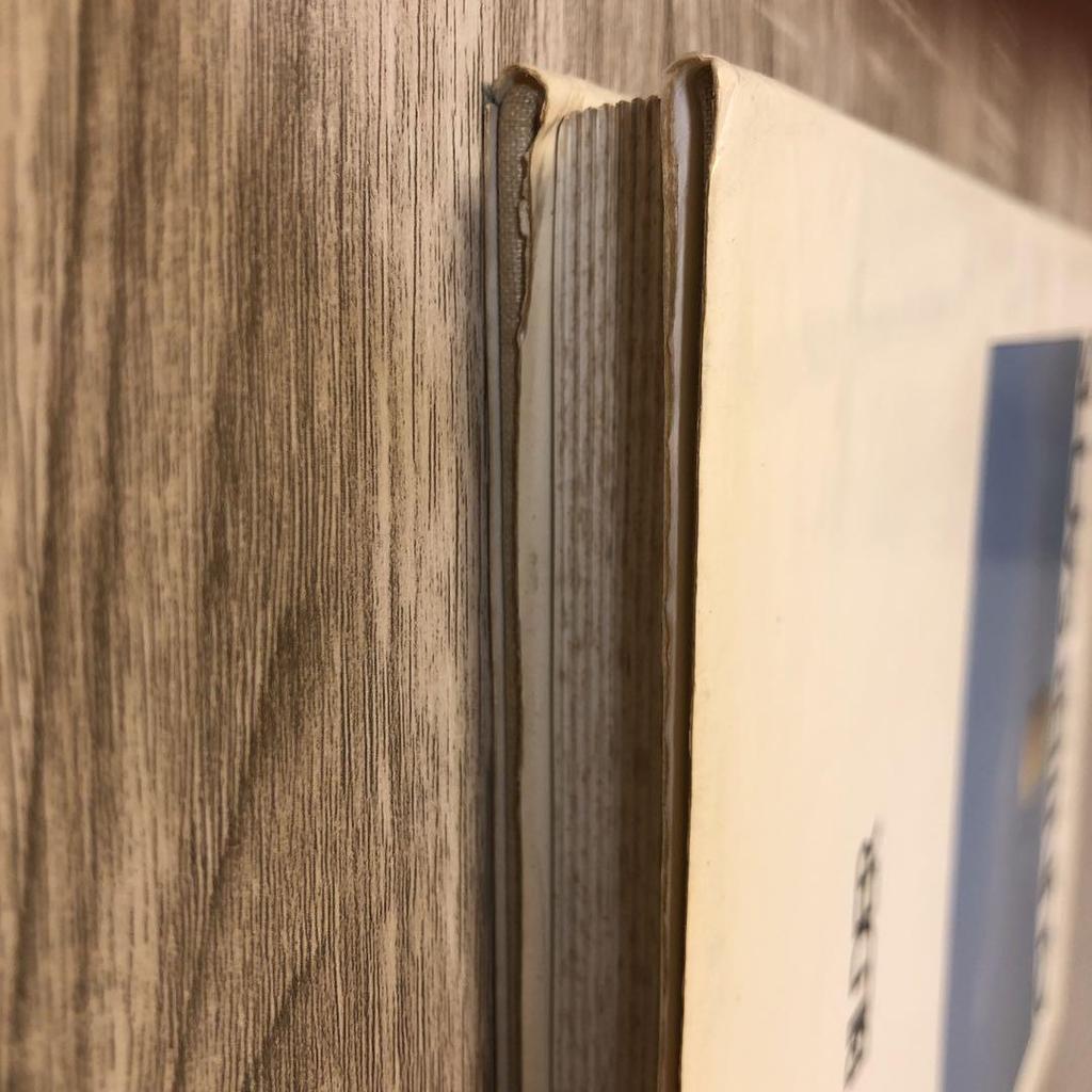 [USED] Günter Sachs Photo Collection LICHT' BILDER