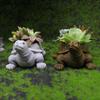 Turtle Planter Pot Collectible Artwork Flower Pot for Cabinet Backyard GiftResin Succulent Pots Holder Creative Decorative