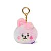 [USED] BT21 Baby Rainbow Flat Face Bag Charm COOKY