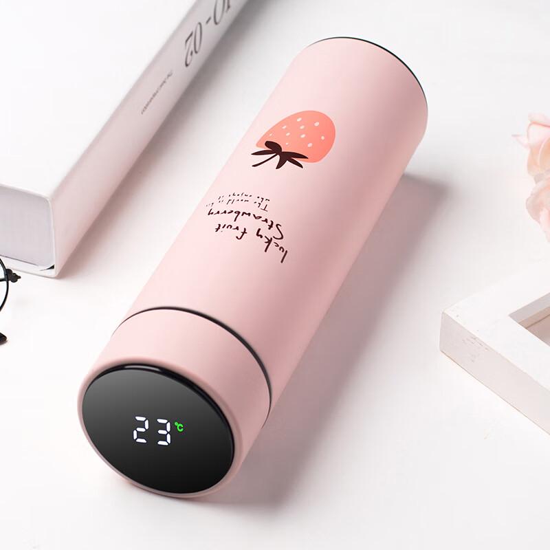 SX Smart Insulated Water Bottle