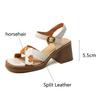 Fashion 2025 New Fashion Casual Sandals Summer Sandals Square Toe Sandals Concise Roman Shoes Chunky Heel High Heels Sandals for Women