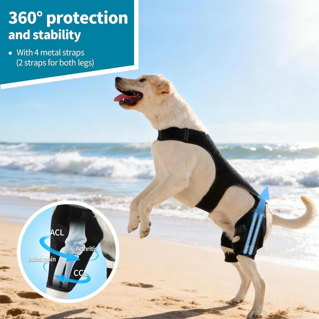 Dog Knee Braces for Back Leg Adjustable Knee Sleeve with 4 Metal Stabilizers Rear Leg Support for Hiking Exercise Outdoor