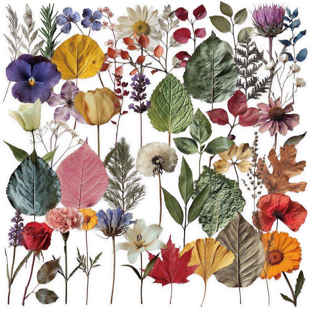 Floral Ink PET Transparent Stickers for Phone, Laptop, Suitcase, and Cup Decoration