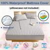 Housse de matelas imperméable en coton Thichen, protège-matelas, anti-acariens, antibactérien, drap-housse en relief, couvre-lit