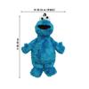 Unic Cookie Monster Plush Backpack for H48 X W36 X D18cm Kids, SS-0103CM, Approx. (including Hands)
