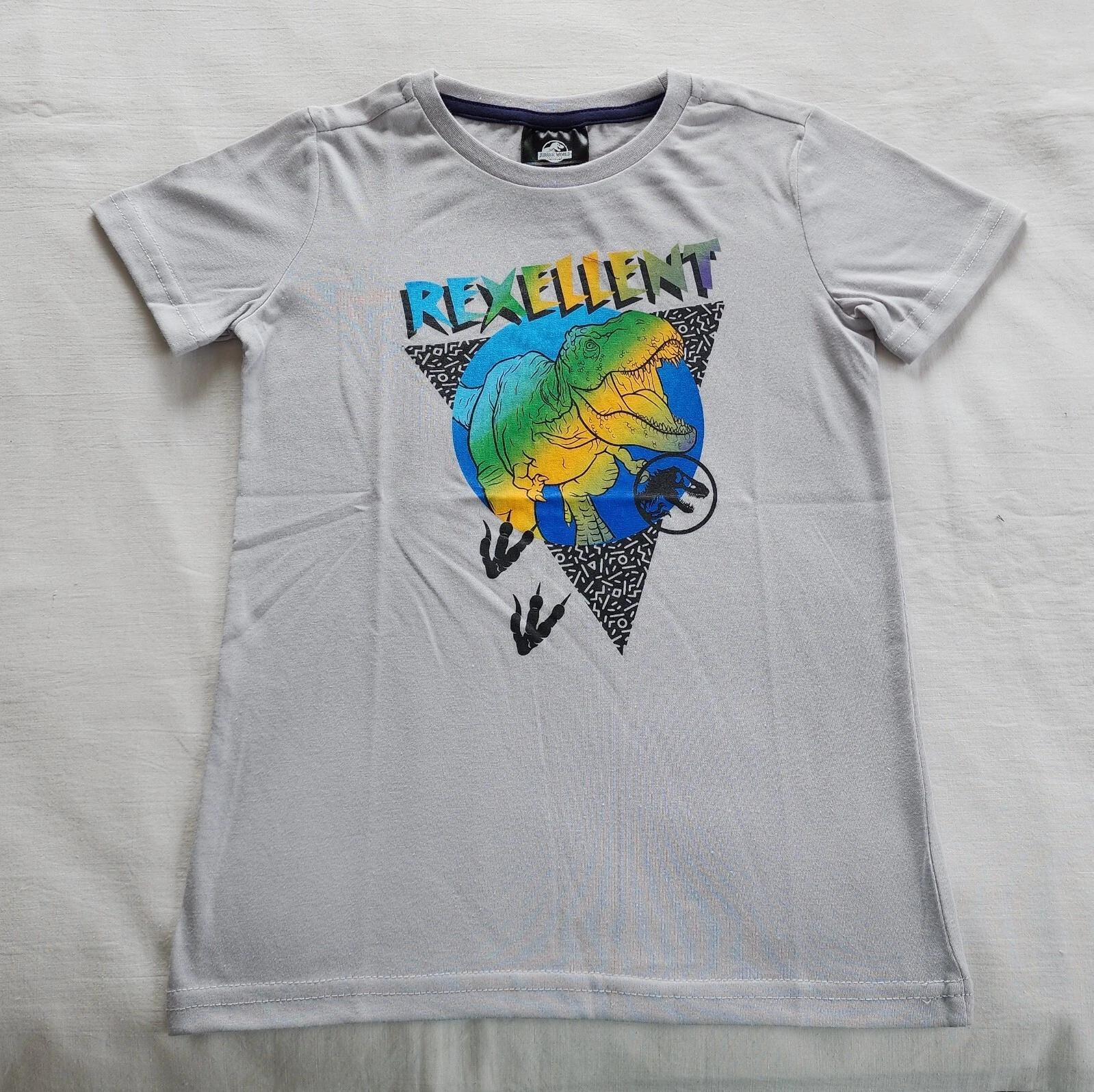 Jurassic World Boys Grey T-Rex Dinosaur Printed Short Sleeve T Shirt Size 3-4 4XL