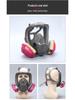 Multipurpose Respirator Mask for Spray Painting, Dust, Chemicals, Pesticides, and Decorating - 6800 Style