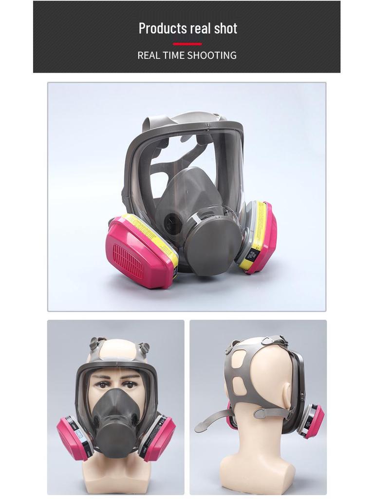 Multipurpose Respirator Mask for Spray Painting, Dust, Chemicals, Pesticides, and Decorating - 6800 Style