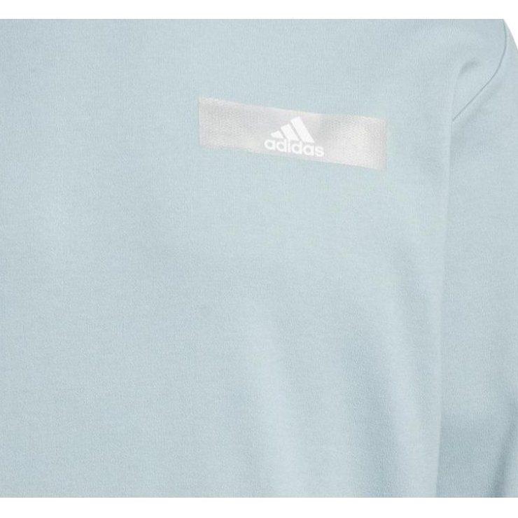 Adidas Sweatshirts Men's Blue Crew Neck Moderate Regular HY5849