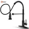 LINGJULI Stainless Steel Pull-Out Kitchen Faucet with Filter Function