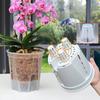 Self Watering Flowerpot Breathable Transparent Plastic Planter for Phalaenopsis Control Automatic Water Storage Planter Pot for Home Office