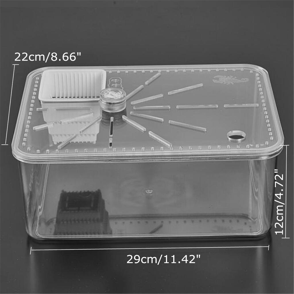 plastic tortoise house