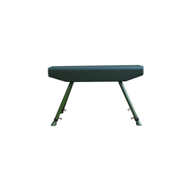 WEZHO Gymnastics Training Springboard & Pommel Horse