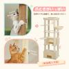 PAWZ Road Cat Tower for Large Cat Tower for Multiple Lack of Sturdy 170cm [Clearance Sale] Cats, Slim, Cats, Large, Freestanding, Space-saving,
