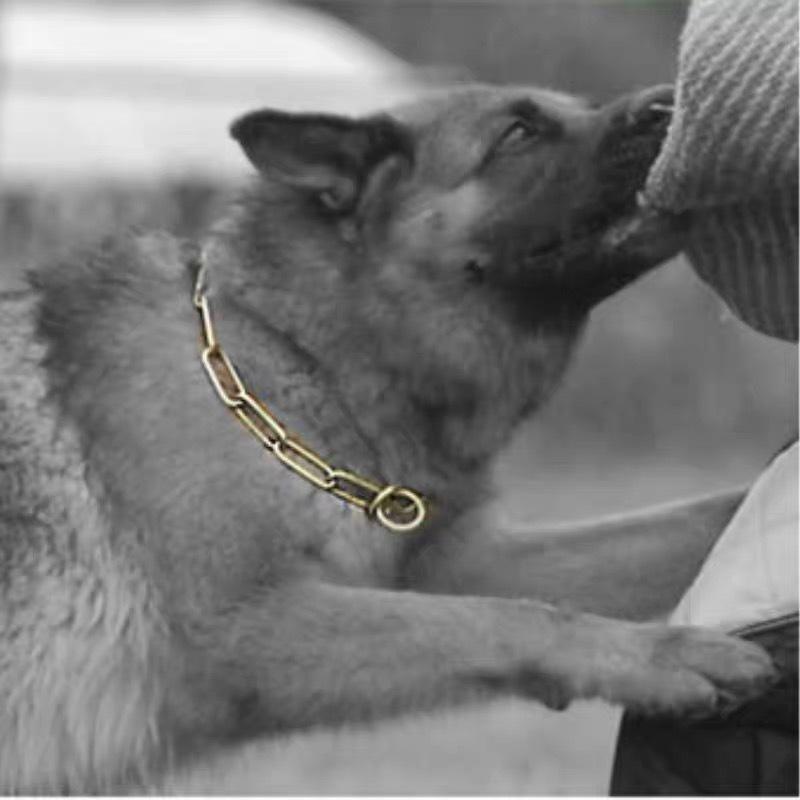 Stainless Steel Dog Training Square Brass P Chain Dog Chain Medium and Large Dog Collar Dog Training Dog Chain Explosion Proof Control Chain