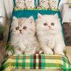 Kawaii kočičí povlak na peřinu Růžová mašlička Koťátko Ložní souprava Sladký zvířecí přikrývka Potah na přikrývku Princezna Mašlička Holčičí Polyesterový potah na přikrývku
