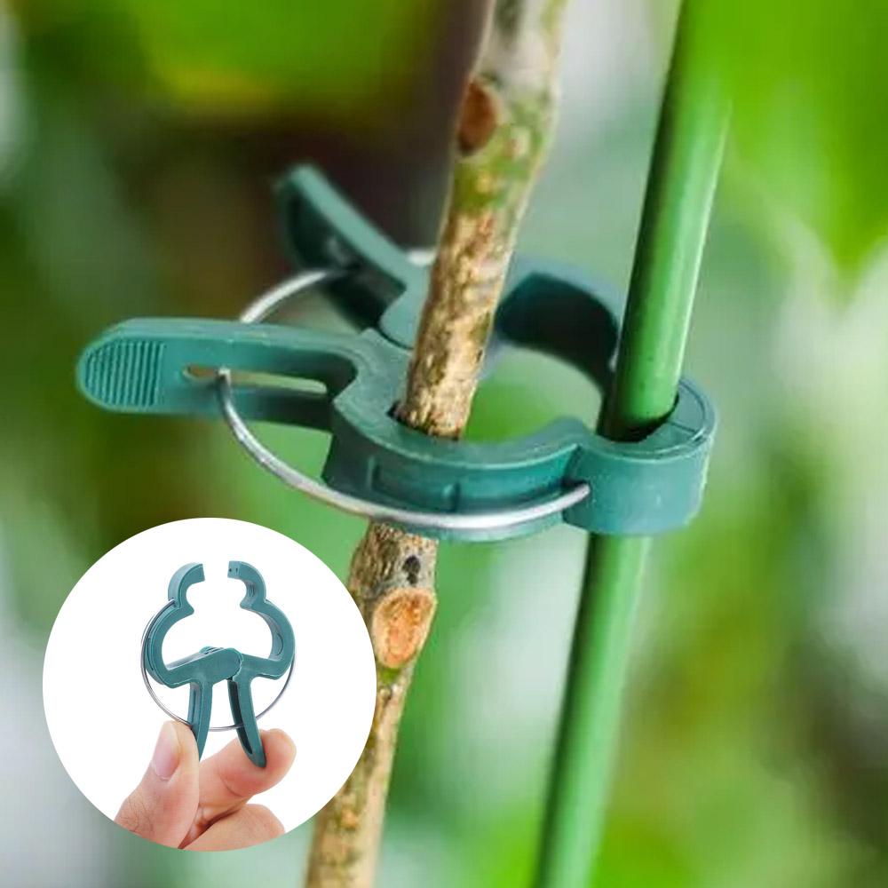 Connector Stem Fastener Branch Clamping Plant Fixed Clamp Support Clips Garden Tool Farm Supplies