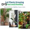 Electroculture Plant Stakes Copper Gardening Antenna Stakes Spiral Copper Wire On Wooden Stakes for Electroculture Plants Fruits Vegetables Growth