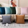 Nordic Style Velvet Pillowcase Home Cushion Detachable Wash Solid Color Dutch Velvet Honey Velvet Pillow Retro Style