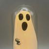 Halloween Ghost Decoration Lighted Ghost in Glass Dome Cloche Cute