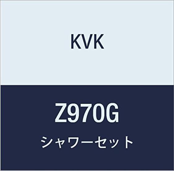 KVK Shower Gray AS Z970G Set, Gray, 1.45m, Head,