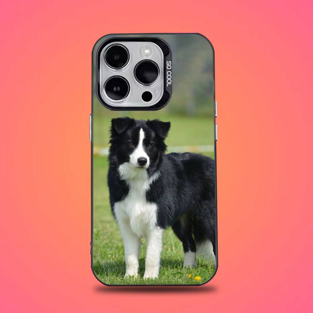 Border Collie Dog Phone Case For iPhone 16,15,14,13,12,11,Pro,Max,Plus,Mini,XS,SE Anti Fall Black Matte Hard Bumper