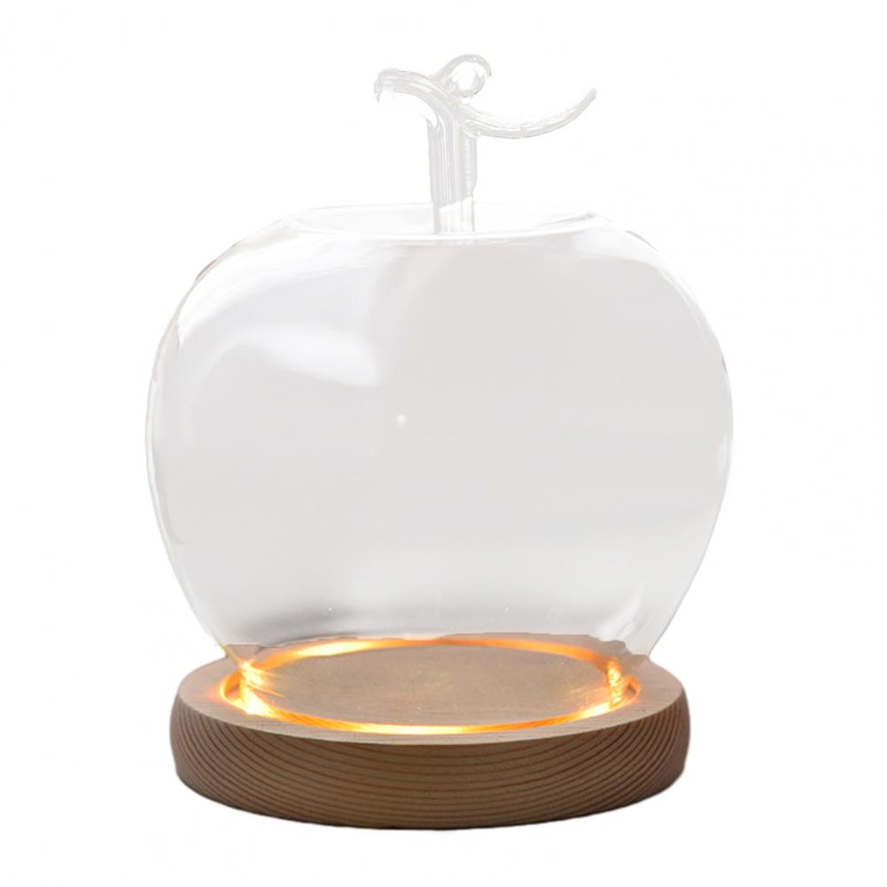 Glass Display Dome Glass Dome with Wooden Base Display Cover Decorative Glass Accent for Preserved Flowers Jewelry Showcase