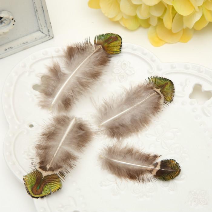 50Pcsdiy Jewelry Accessories Feather Diy Feather Headdress Corsage Hat Shoes Handicrafts Decorative Materials