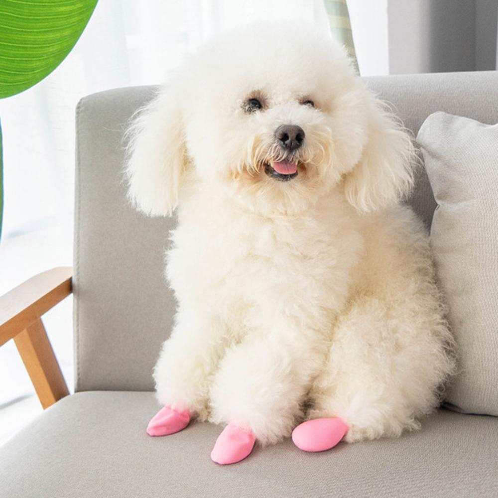 rubber paw boots