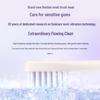 Philips Sonic Electric Toothbrush CN plug (adapter included)