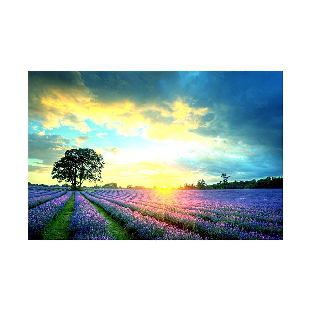 

Красивый Лавандовый Аромат Фотофон Гобелен для Домашнего Декора, Вечеринок, Студий, Празднований, Свадьбы 100*150cm