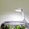 Verstellbare Mini-Clip-on Aquarienlampe 5W USB LED Aquarienlicht Energiesparend Drehbar Fischbehälter Clip-Lampe Aquarien Zubehör