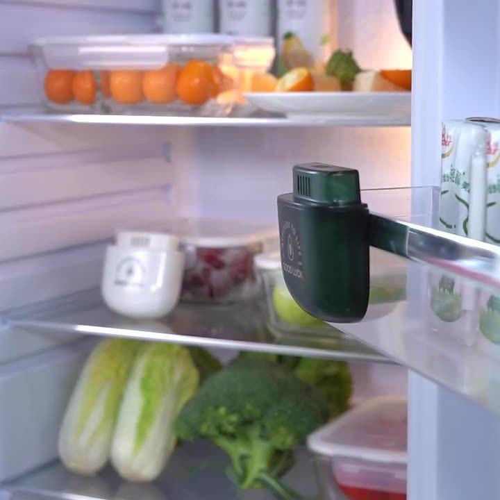 Refrigerator Deodorizer, Deodorizer, Anti-odor Box, Formaldehyde Remover, Activated Carbon Sterilization and Disinfection Purifier