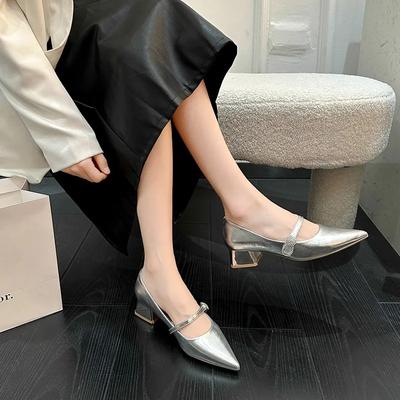 Mode Silber Mary Jane Einzelne Schuhe 2024 Frühling/Sommer Neu Spitz Niedrig Dicke Absätze Damen Hochwertig Ein Riemen Pendlerschuhe