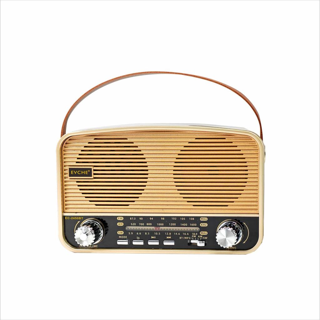 2450BT High-End Handheld Full Band Bluetooth Radio with Card Slot