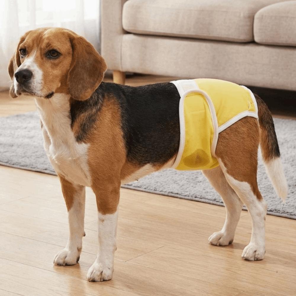 Leak-proof Pet Diapers Breathable Dog Menstrual Pants Pet Supplies Pet Underwear  Dog Heat Season