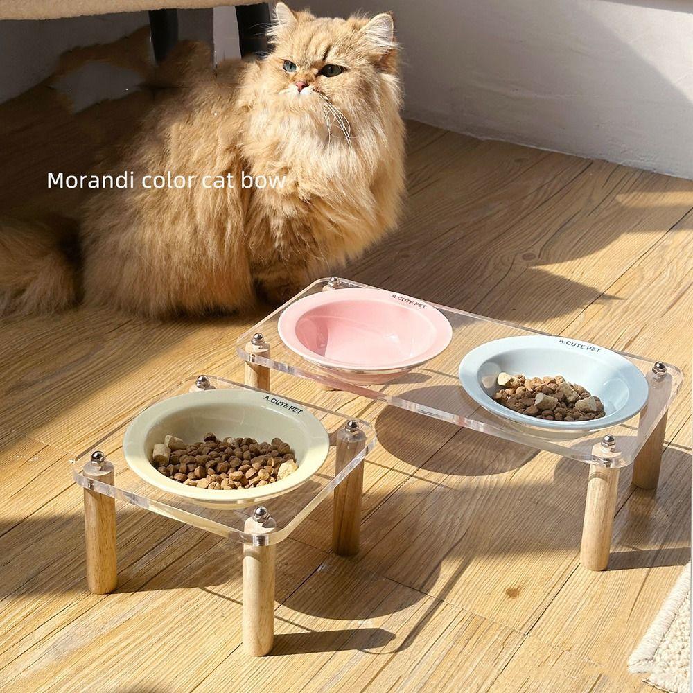 Protect Cervical Spine Cat Bowl with Acrylic Stand Cat Drinking Feeding Bowl Cat Accessories