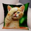 Cute Pet Animal Print Pillowcase Funny  Cat  Decoration Car Sofa Home Cushion Cover