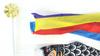 Hidemitsu Doll Studio Indoor Mini Carp Streamer Streamer Carp 3 Colors Yuzen Dye Firmly Boxed Set C1341