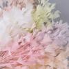 High Quality Turkey Feather Flowers 25-30CM for Home Wedding Party Headdress Handwork Accessories Crafts Plumes Wholesale