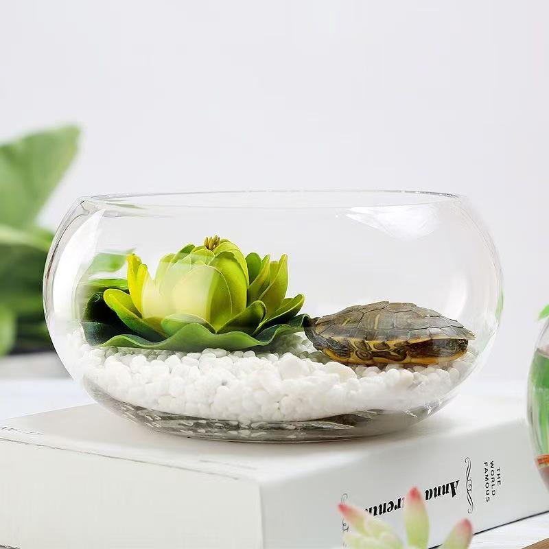Creative Round Glass Fish Tank for Desktop, Office, or Living Room