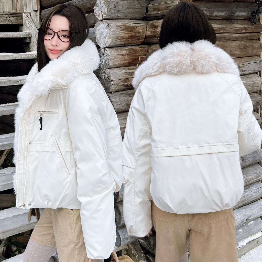 European winter new pie overcomes imitation fox fur collar down cotton coat women's short loose cotton coat