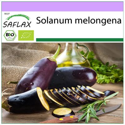 Bio – Aubergine – Long Purple – 20 Samen – Solanum melongena