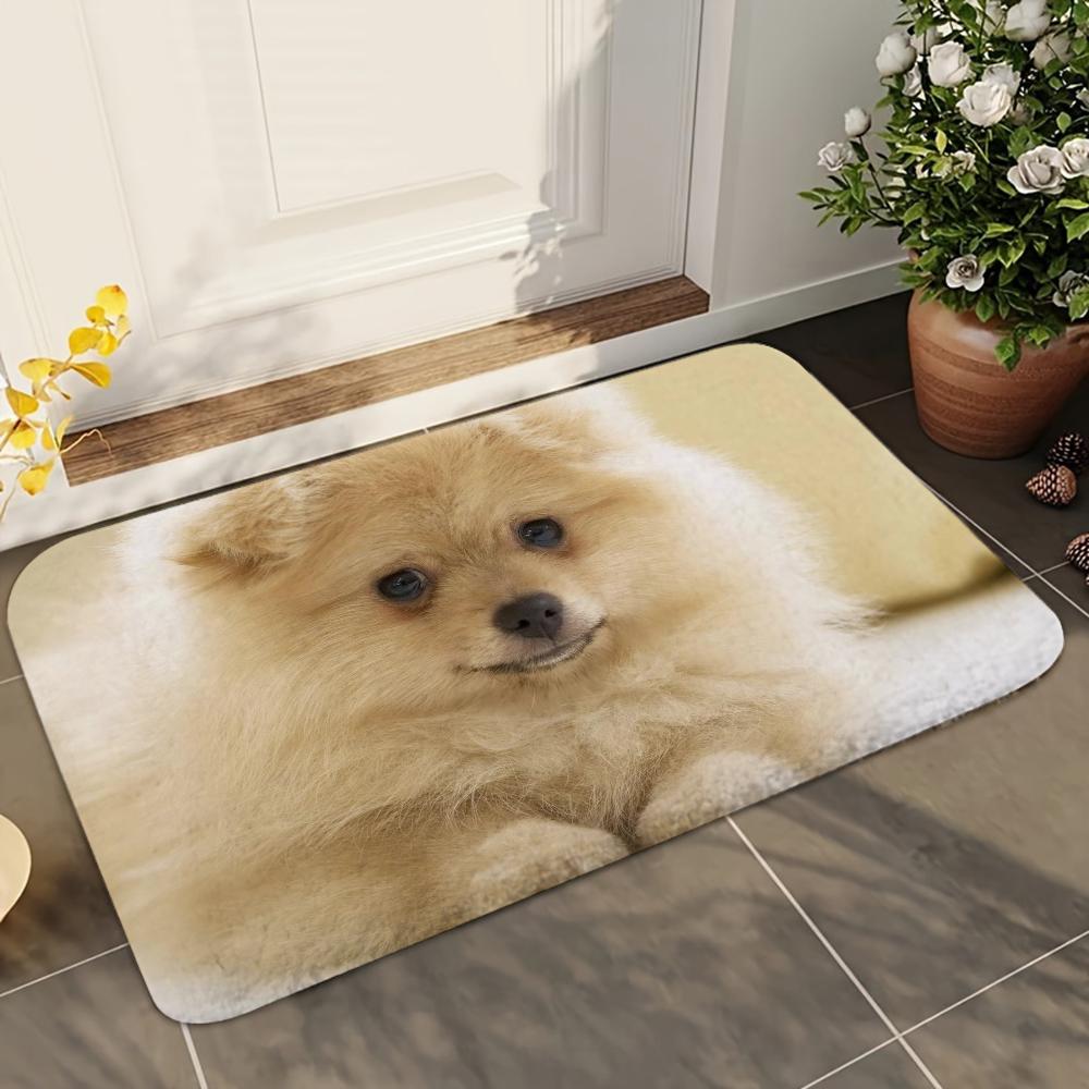 1pc Cute Pomeranian Dogs Bathroom Absorbent Mats Anti-Slip Mats Home Decor Supplies Carpets Home Kitchen Floor Mats