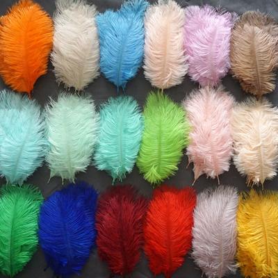 Colorful Ostrich Feather 15 -20cm Wedding Ornaments Wall Decoration Feather Wall Bouquet Diy Material 