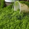 100G Artificial Moss Green Moss Mini Landscape Miniature Scene Moss DIY Craft Terrarium Preserved Plant Moss Garden Decor