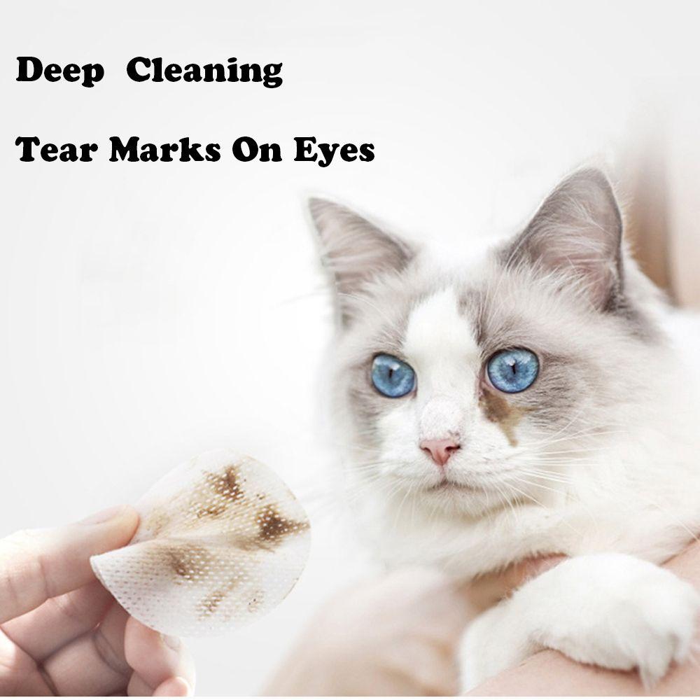 cat cleansing wipes