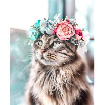 Animal Diamond Embroidery Flower Cat Flower Diamond Painting Cross Stitch Home Decoration