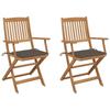 Day and Night - Day and Night Folding Garden Chairs 2 Units and Cushions Solid Acacia Wood