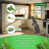 Menaj și curățenie – Împotriva insectelor